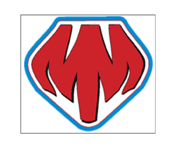 Mighty Moe Pressure Wash Services